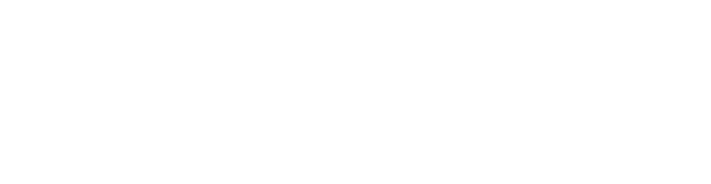 Axis Bank Logo